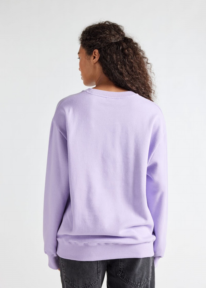 Women Pyrenex Phase Sweater In Organic Cotton Sweaters Lavender | HFX007X6067